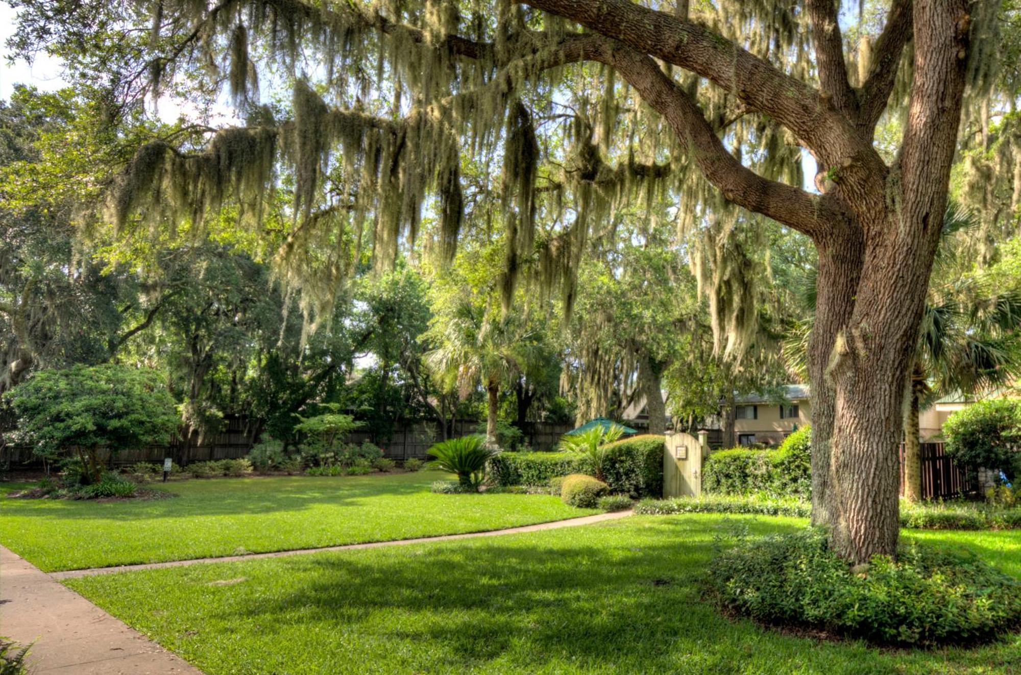 Turtle Cove- 2 Bedroom 1 And A Half Bathrooms St. Simons Island Luaran gambar